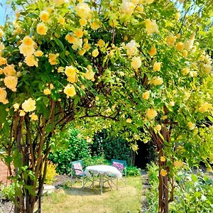 Garden , Guisborough United Kingdom